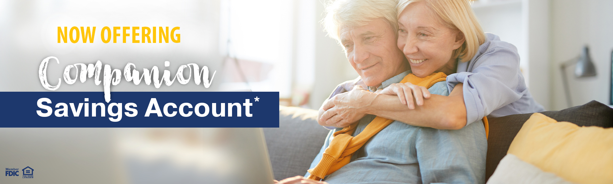 Elderly couple looks at a laptop computer